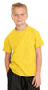 Hanes® - Youth Tagless® 100%  Cotton T-Shirt.  5450